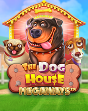 3-game-pop-dhm-img
